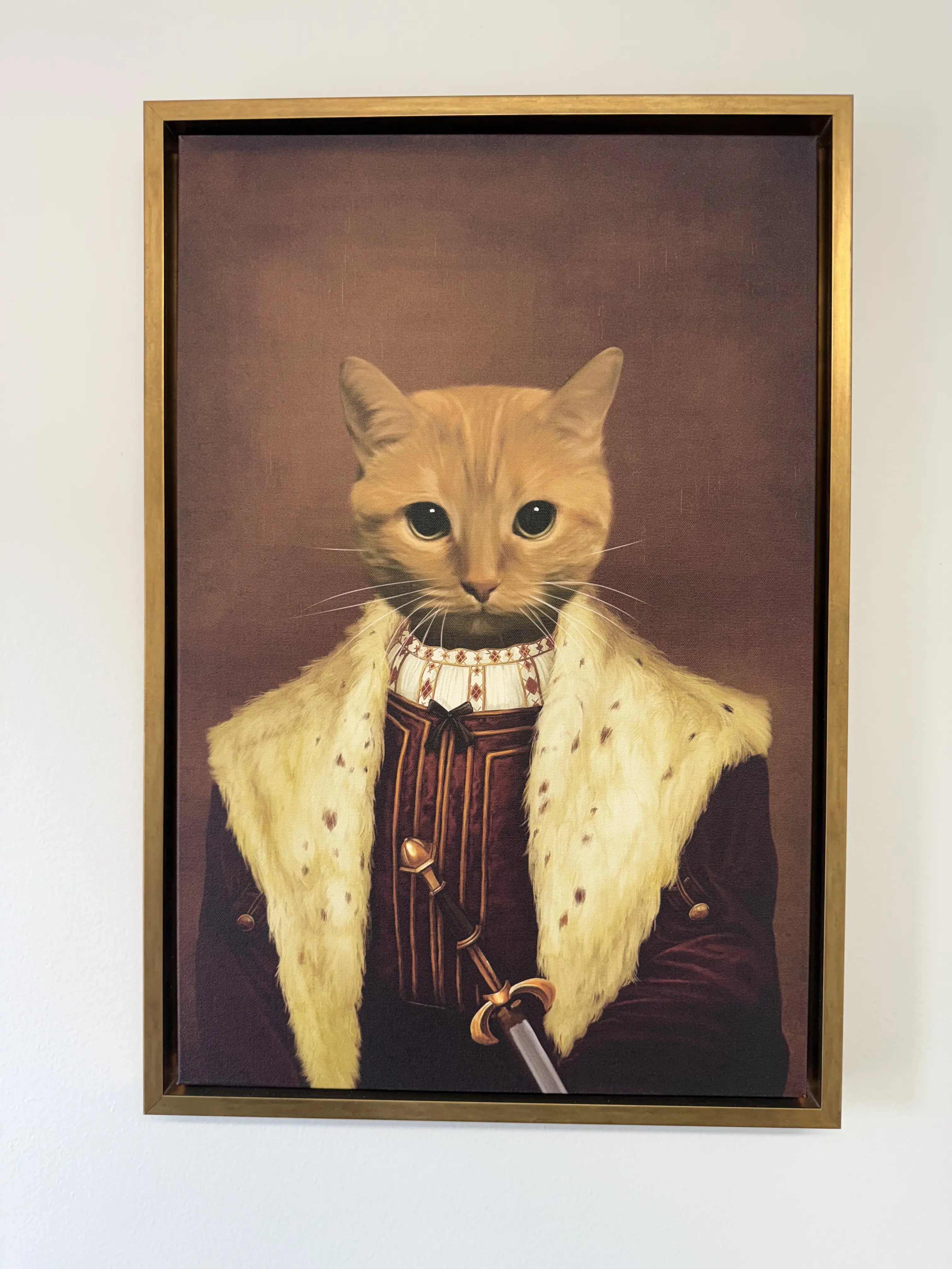Lucky — MTJL studio cat portrait